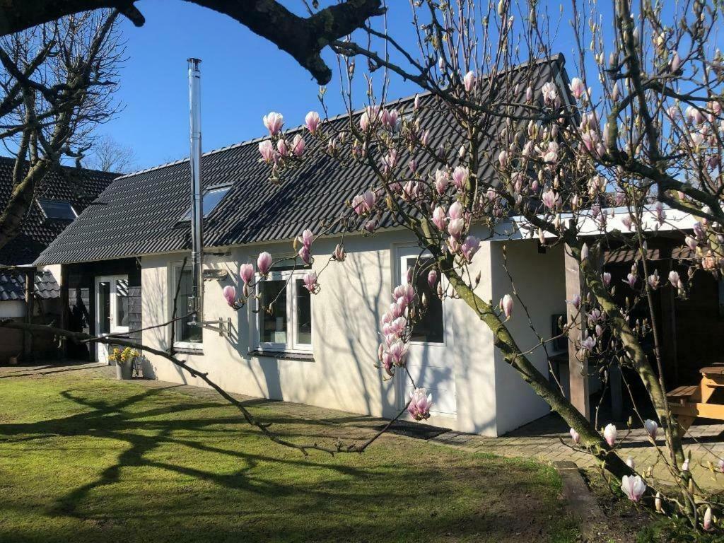 De Hazeldonck Villa Gemert Buitenkant foto